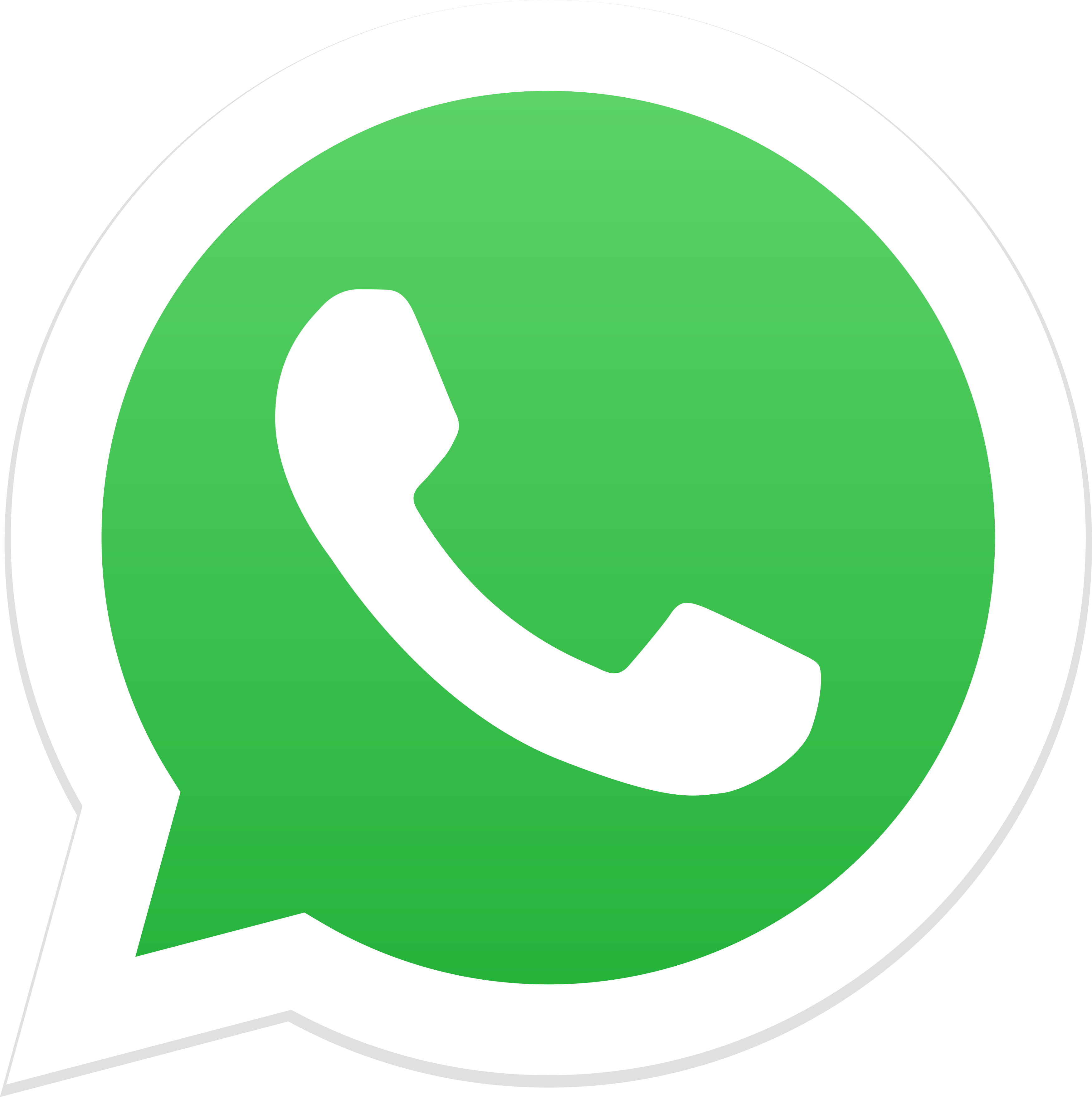 Contacto WhatsApp