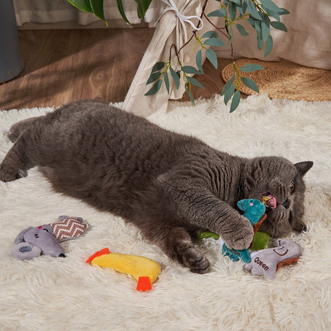 A cat plays blissfully with many cat toys