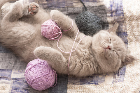 A cat is seen laying with a couple balls of pink yarn and looking content.