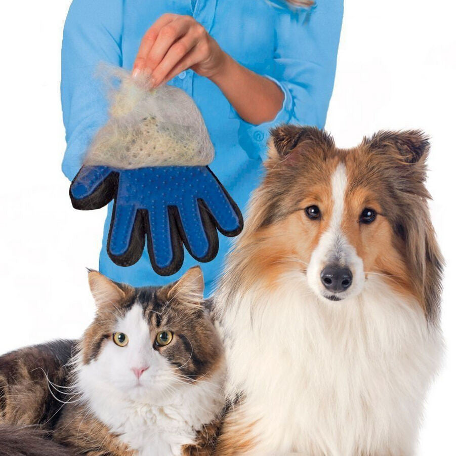 best dog grooming glove
