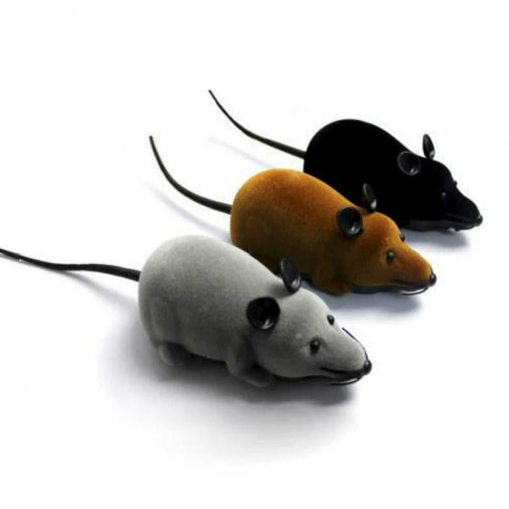 rc mouse for cats
