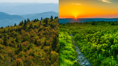 North Carolina & West Virginia National Forests