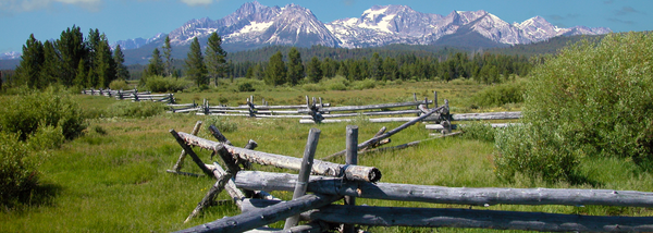 Plant a Tree for Idaho