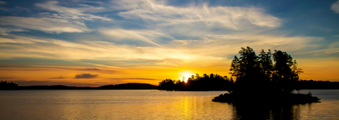 Minnesota Forests