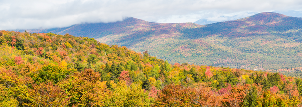 New England National Forests