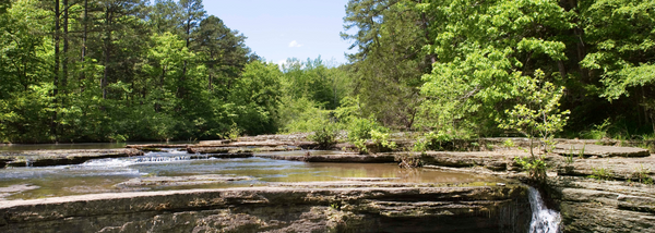 Arkansas National Forests