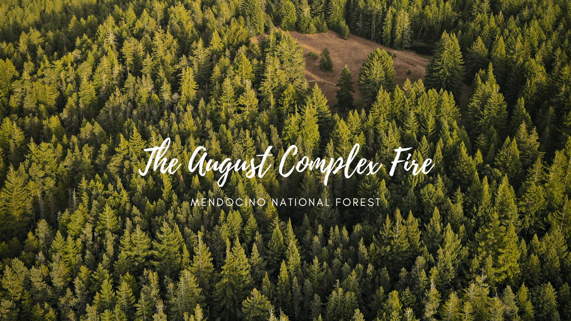 The August Complex Fire - Mendocino National Forest