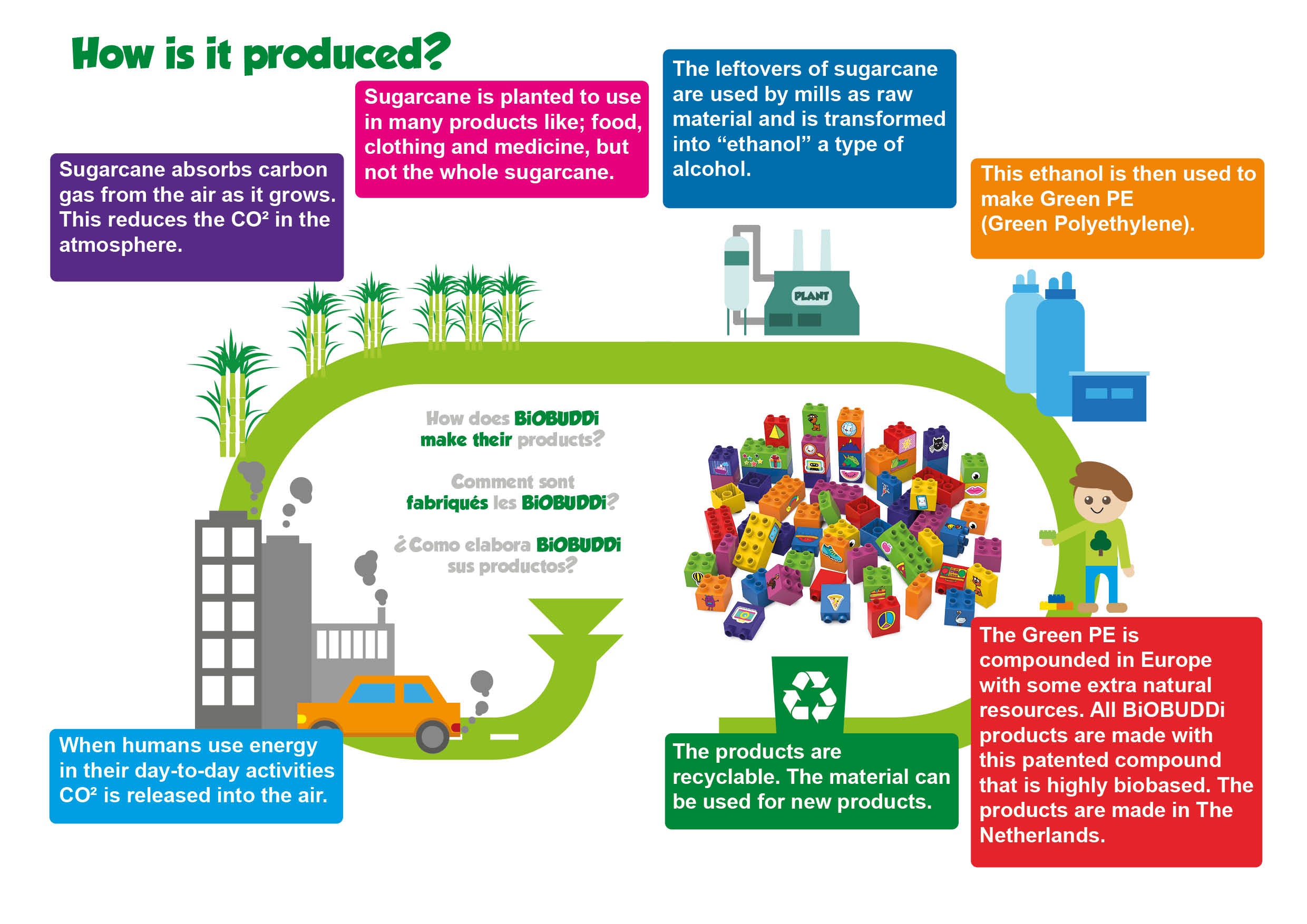 cycle process BiOBUDDi