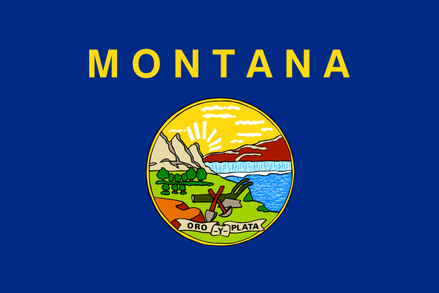 montana state flag