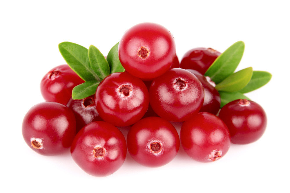 lingonberry fruit