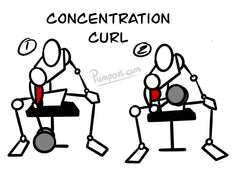 Drawing of a basic human figure performing the concentration curl in two steps