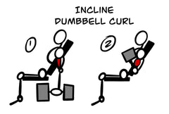 Drawing of a basic human figure performing the incline dumbbell curl in two steps