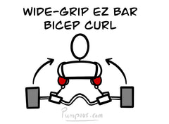 Drawing of a basic human figure performing the wide-grip EZ bar dumbbell curl