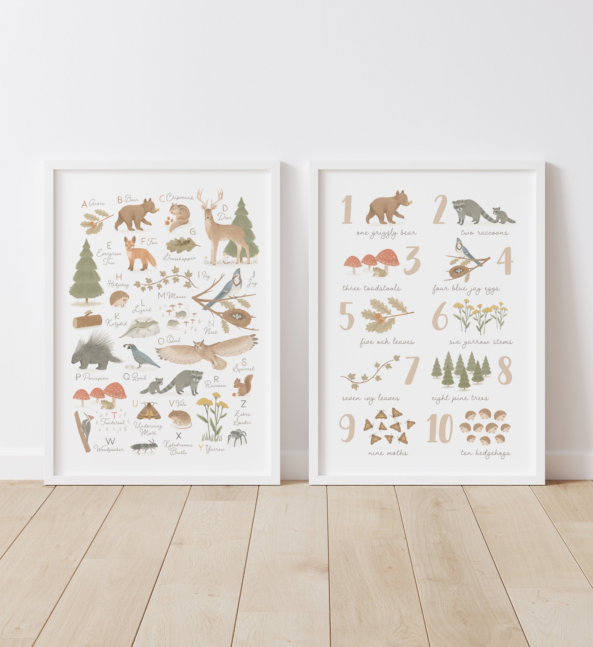 Animal Tracks Field Guide Woodland Themed Nursery D√©cor Wood