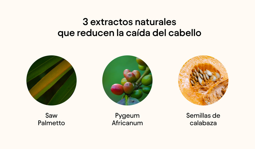 3 extractos naturales que reducen la caída del cabello