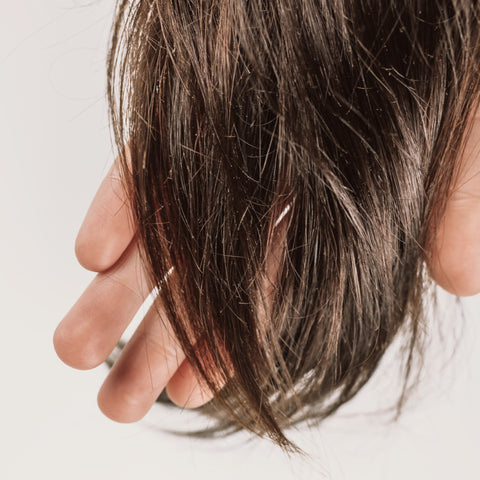 101: Trockene Haare, Haarbruch und Co. - Eure Anliegen, unsere Tipps