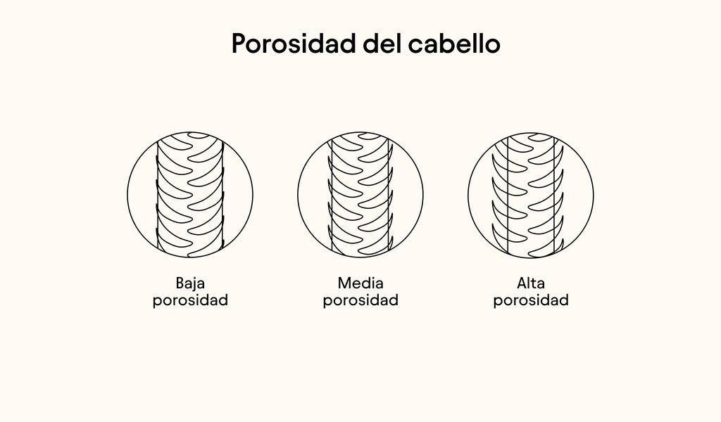 Diagramm zur Haarporosität