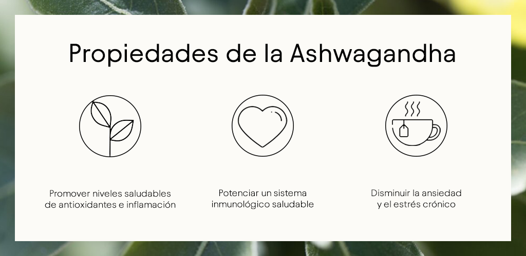 Ashwagandha-Eigenschaften