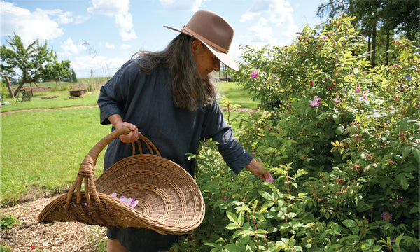 Kate Poole EAA alchemist hand picks rose petals for organic skin care