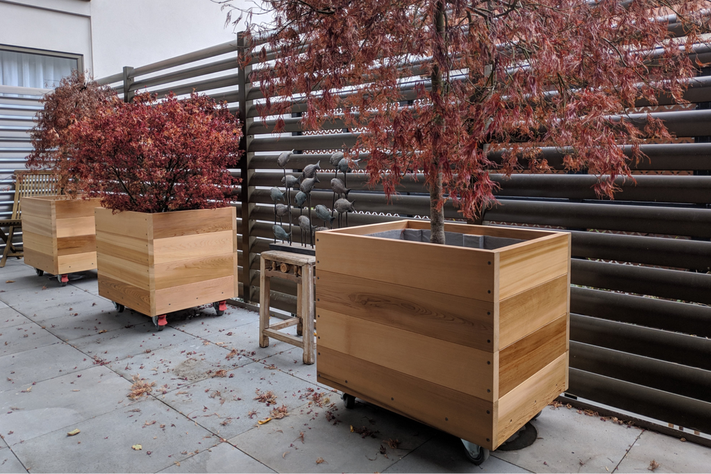 Bloom Box Products timber planter boxes in concrete courtyard