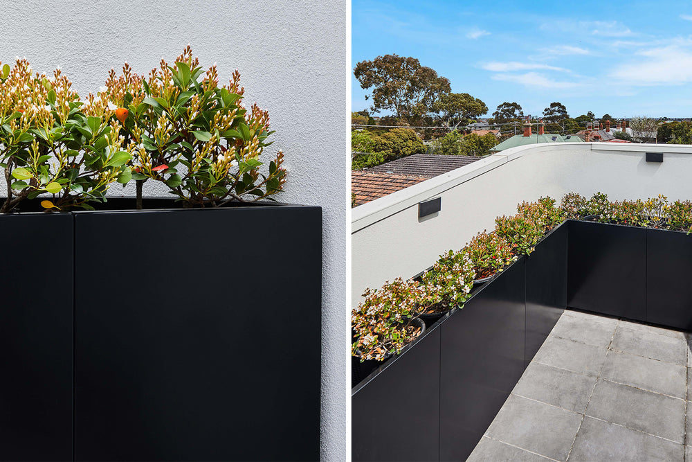 Designing an Architectural Roof Top Garden – Bloom Box Products