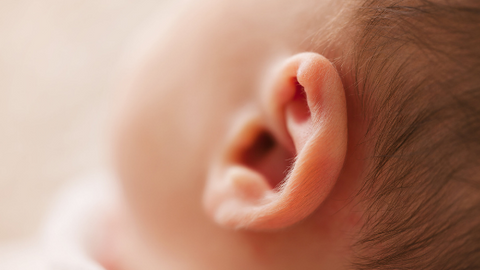 massaggio auricolare auricoloterapia riflessologia orecchio feto organi corpo umano bonface massaggio viso