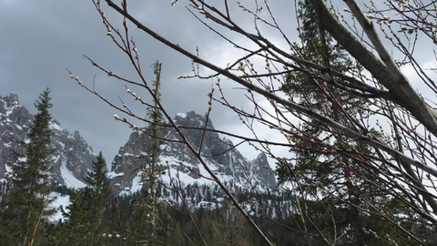 bonair misurina il respiro della montagna yoga dolomiti tre cime pratica breathe tulipano