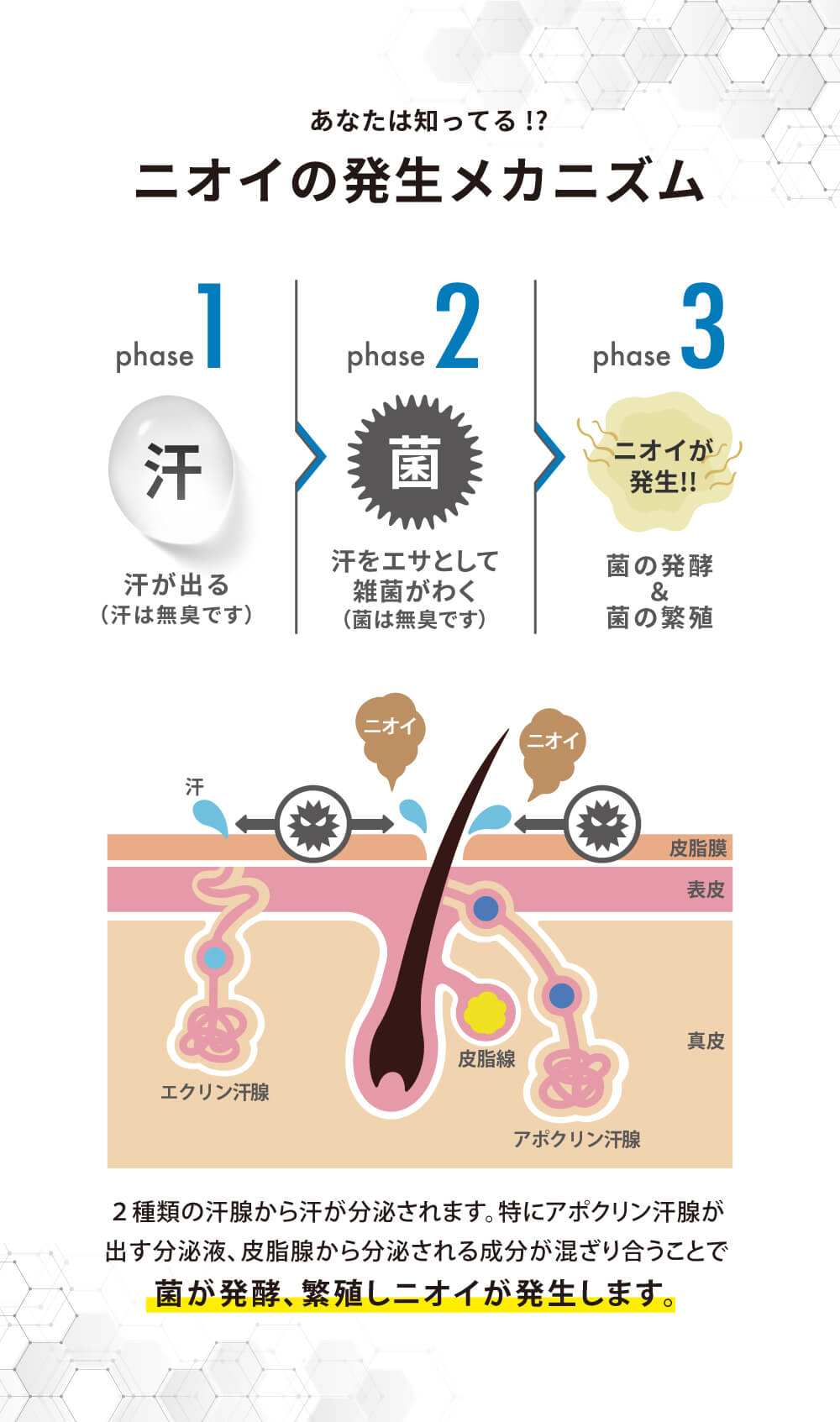 NULL 薬用デオドラントゲル – メンズコスメNULL公式ストア