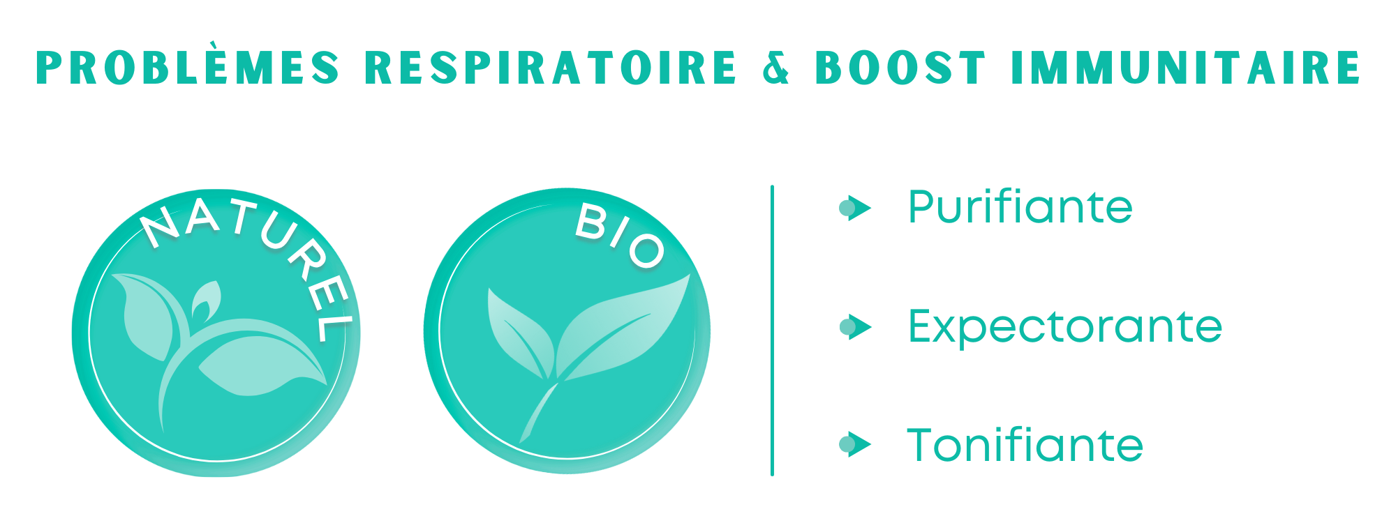 Banniere_Reduite_Produit_Huile_Massage_Respiratoire_Bio