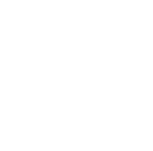 1-Year Warranty