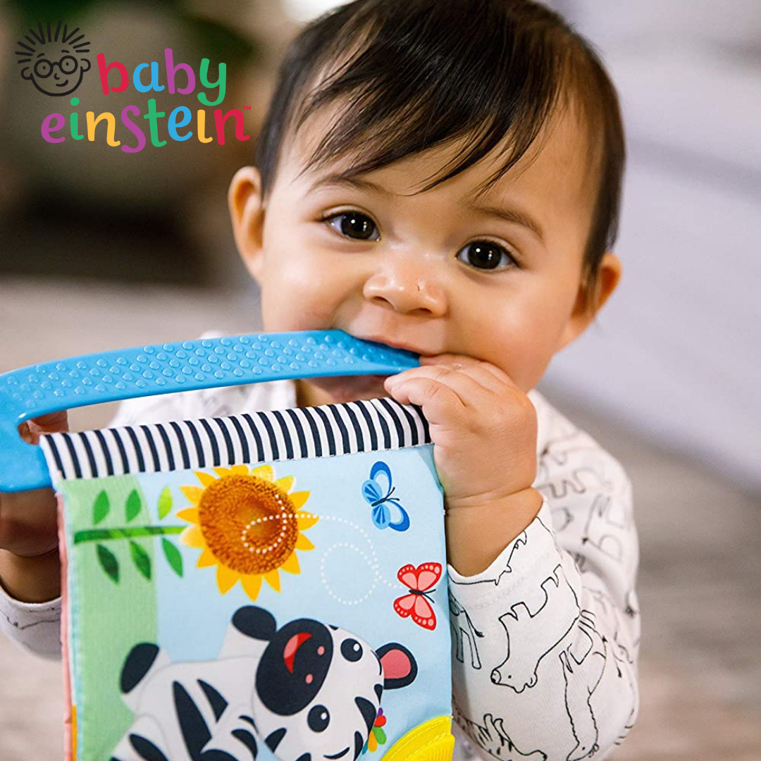 baby einstein teether