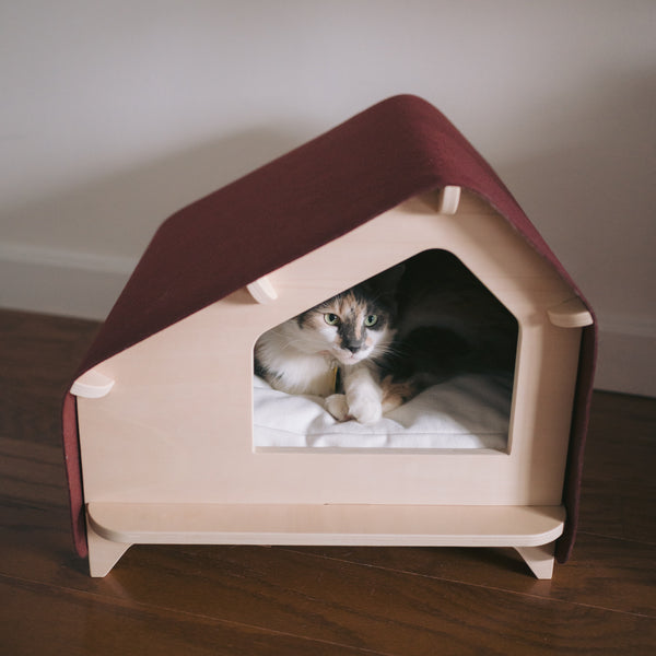 Rawry Luxe Cabin in Maroon, Medium Size with Cat sitting inside