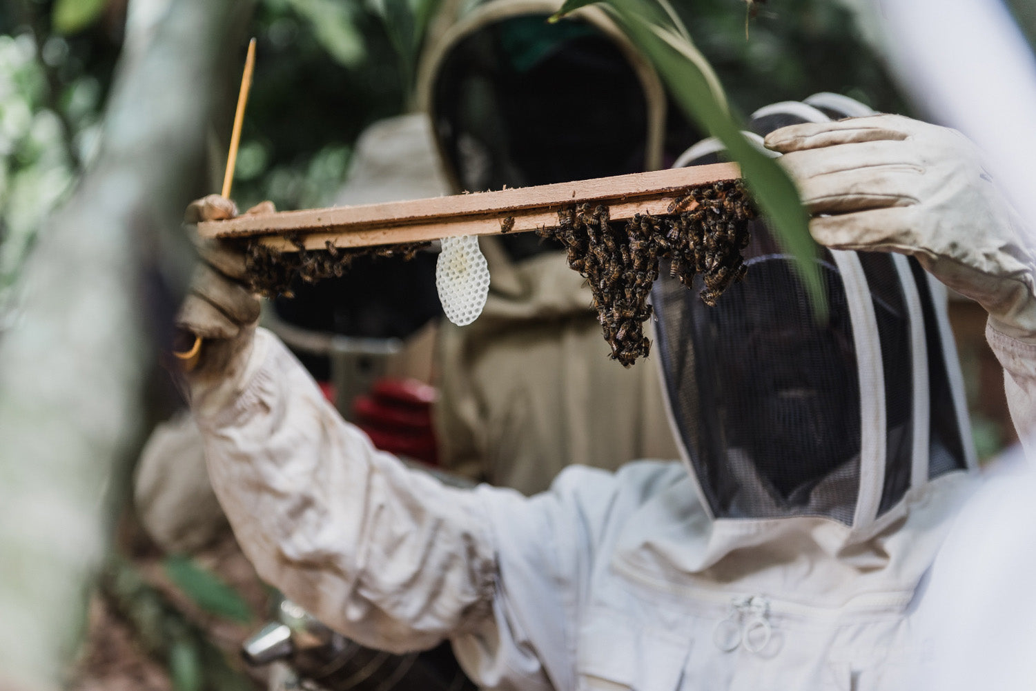 Beekeeper in Uganda