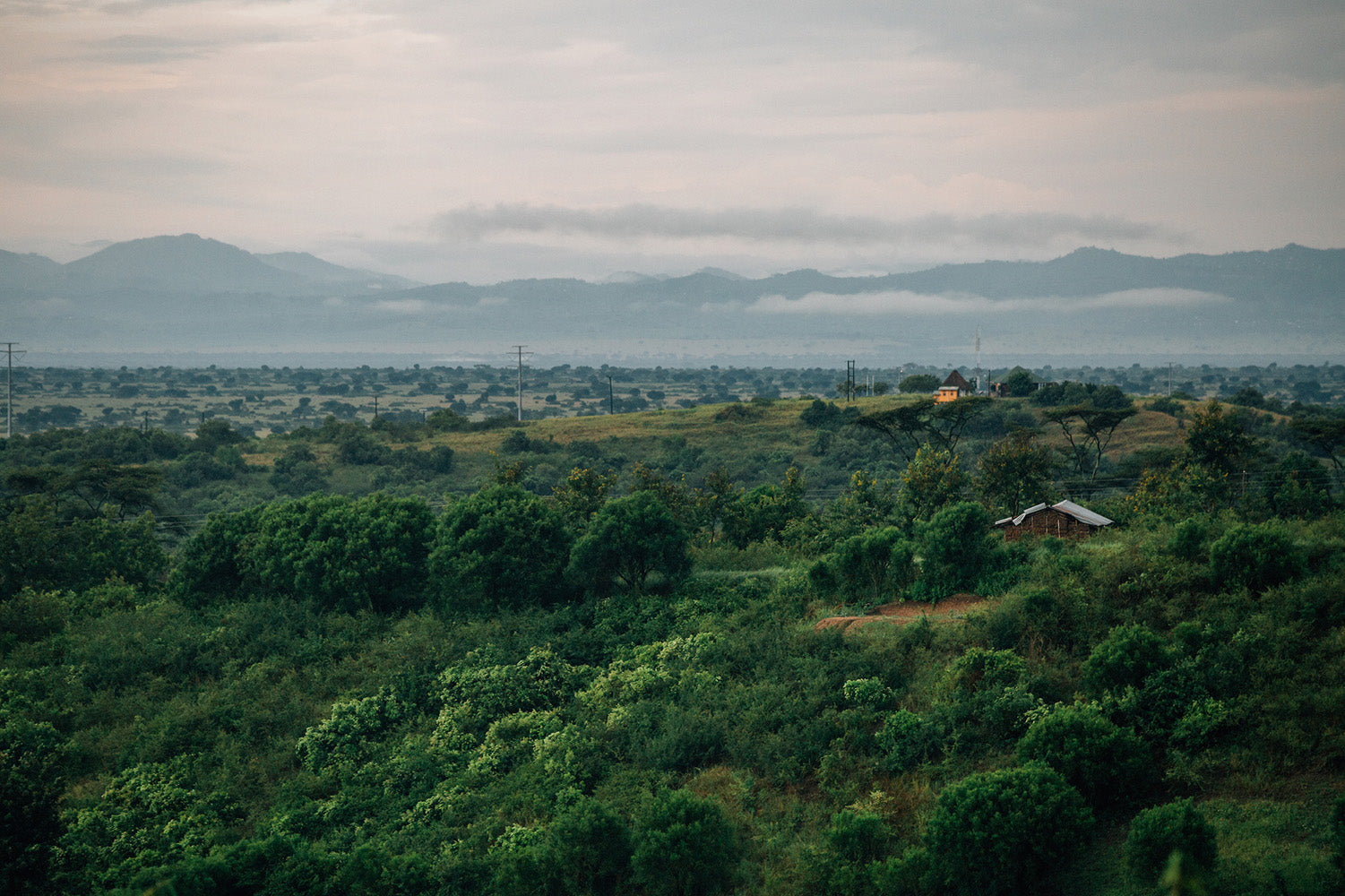 Ugandan countryside