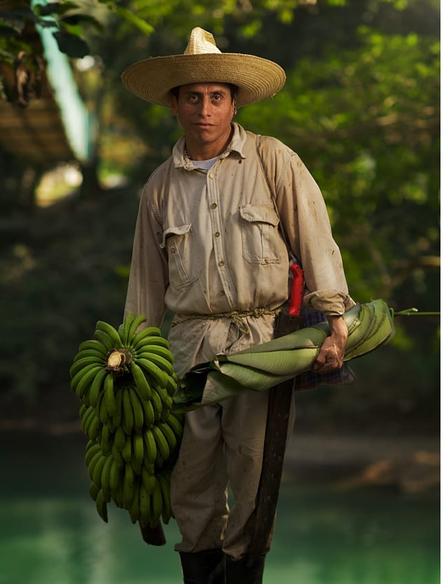 Farmer in SAN SALVADOR EL SECO, Puebla
