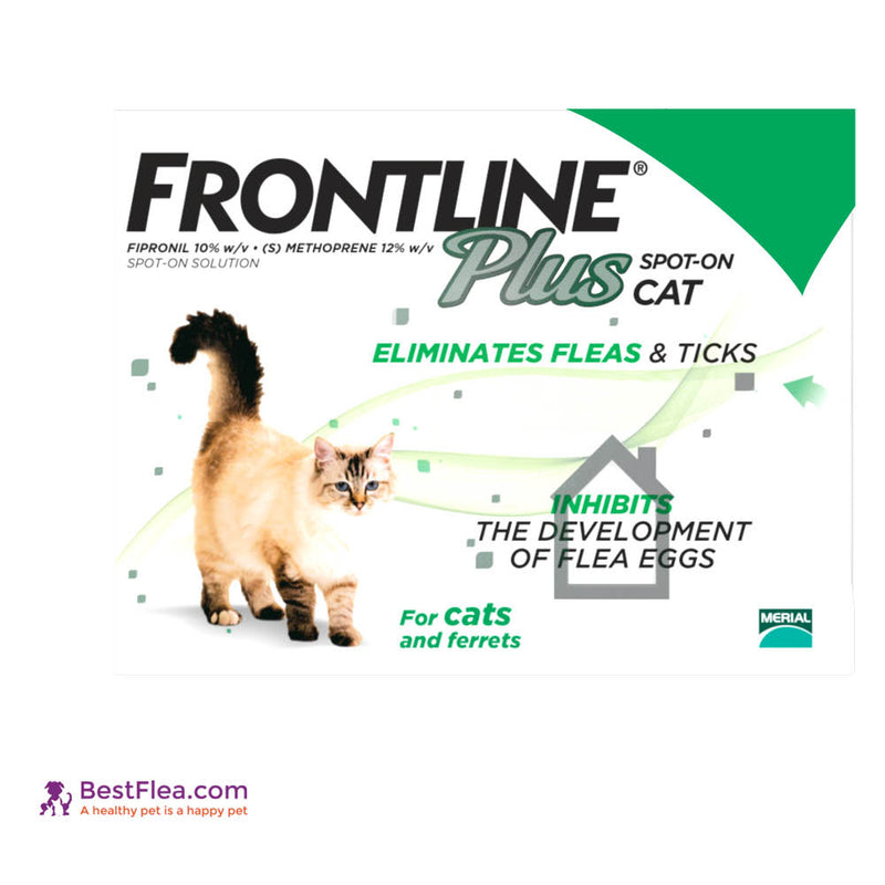 frontline for cats 6 pack cheapest