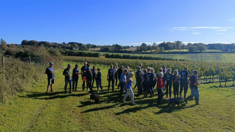 Hattingley Vineyard Volunteers, Volunteer at Our Vineyard, Visit Hattingley, Harvest 2023, Harvest Grapes, Free Wine