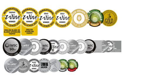 Award winning Blanc de Blancs, Best English Wines, International Wine Challenge