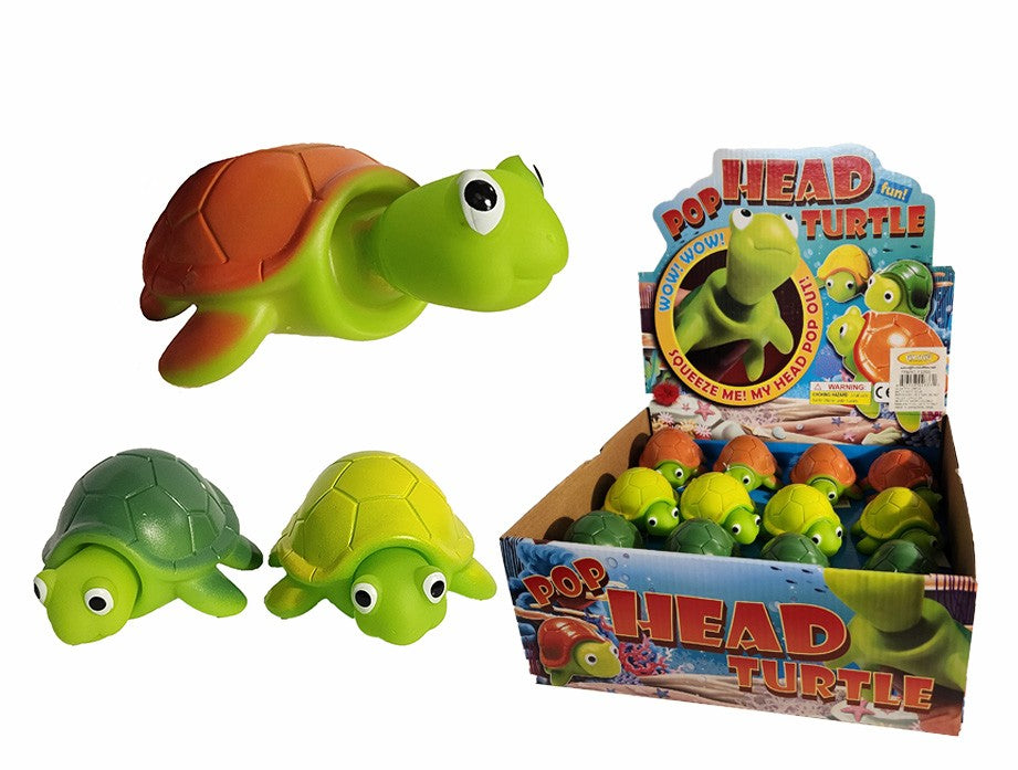 POP HEAD TURTLE
