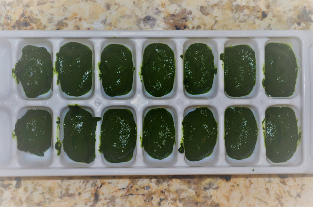 spinach in ice cube trays