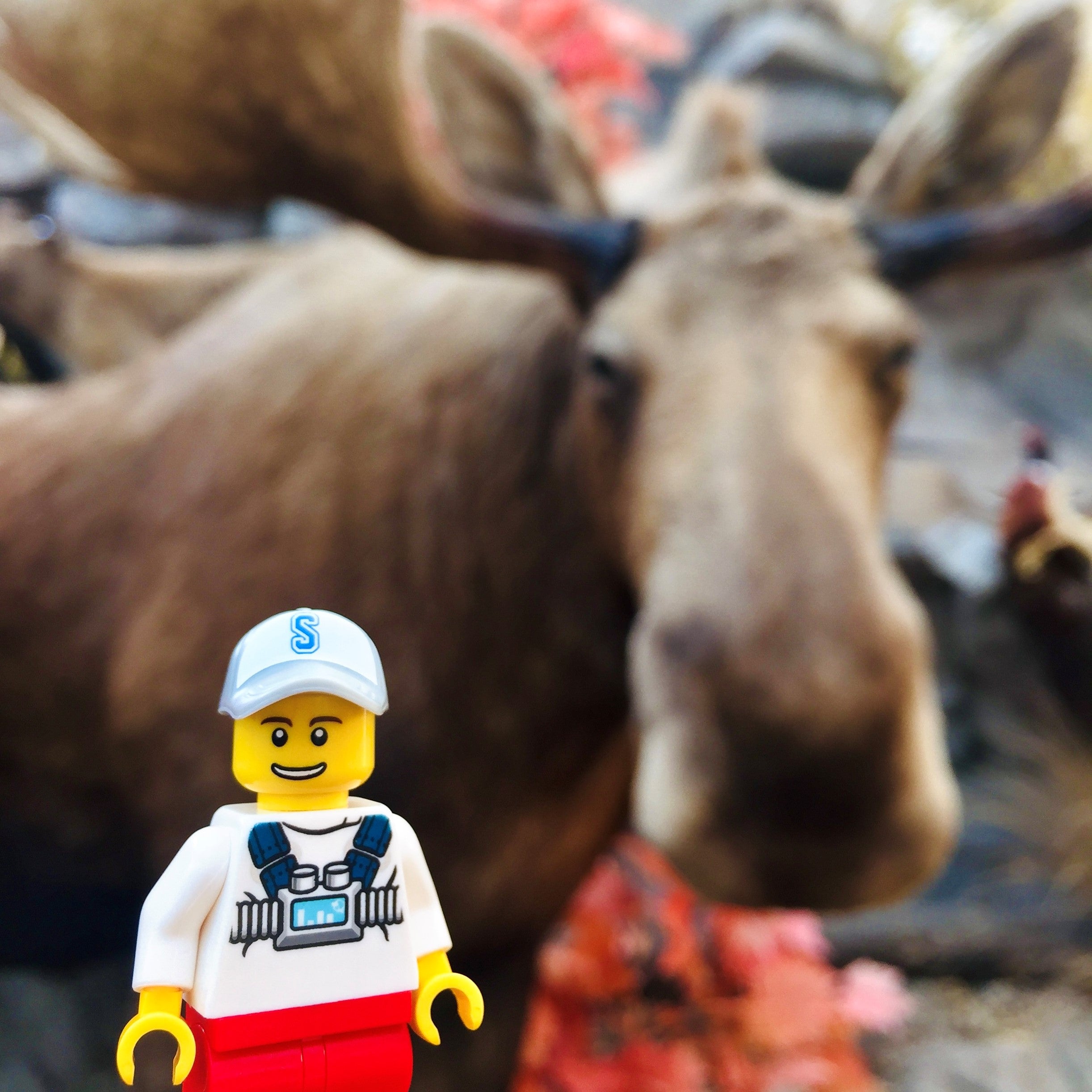 Adventure's with the Graham's