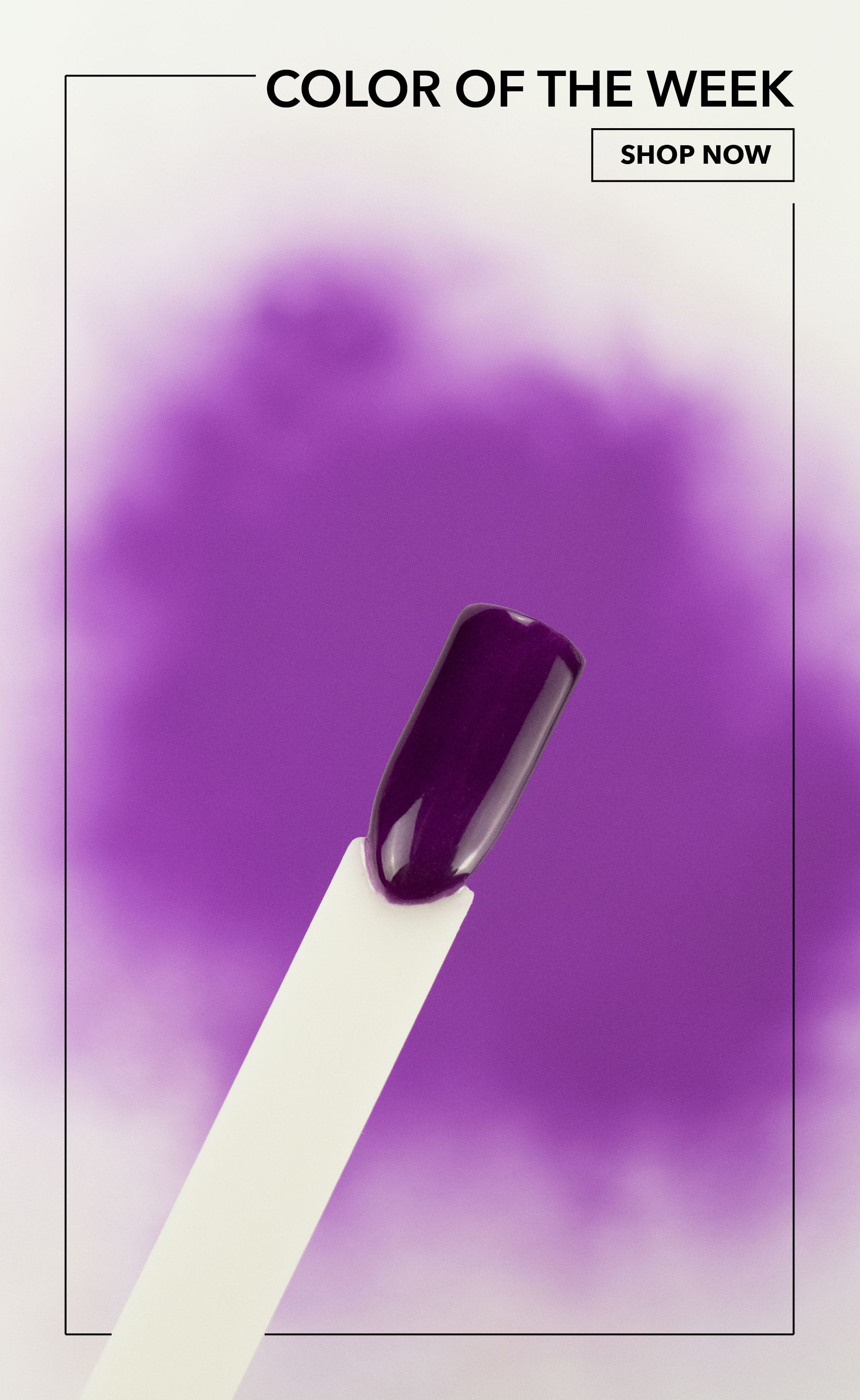 Swatch photo of Elderberry, deep plum purple dip powder, Revel Nail