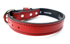 red leather dog collar