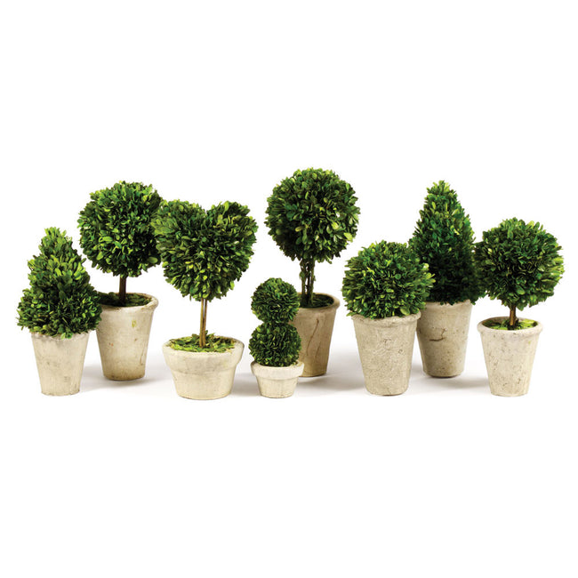 Boxwood Topiary Set