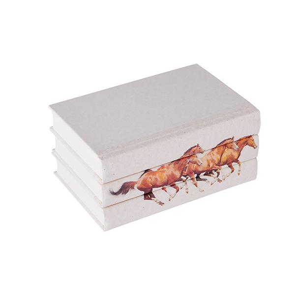 Wild Horse Book Set