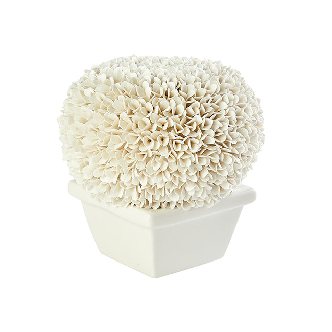 Porcelain Round Boxwood