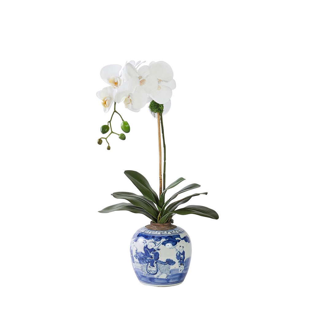 Single White Orchid in Chinoise Vase