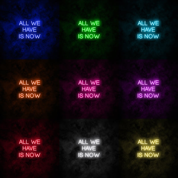"All we have is now" Neon Sign