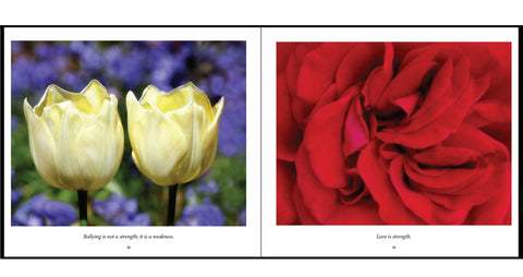 Yellow tulips and a red rose an excerpt from the book Gratitude by photographer Kelly Johnson