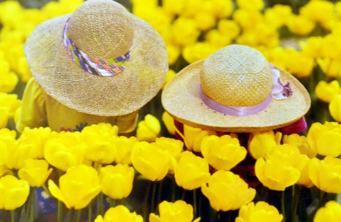 Photograph of girls in hats bending over looking at tulips at Wooden Shoe Tulip Farm, Woodburn, Oregon by Kelly Johnson author of Gratitude